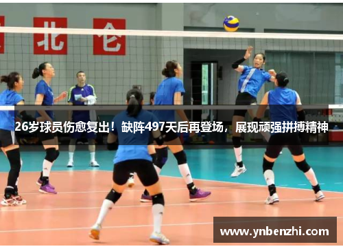 26岁球员伤愈复出！缺阵497天后再登场，展现顽强拼搏精神